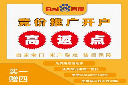 百度竞价推广运营策略解析与实战案例